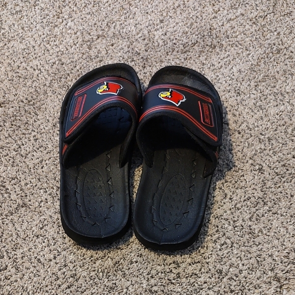 Men's LOUISVILLE CARINAL Sandals - Picture 1 of 7